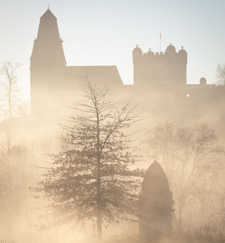 Burg Bentheim im Nebel