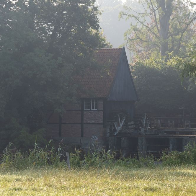 Die Wassermühle in Lage am Morgen