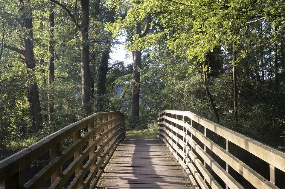 Holzbrücke über die Dinkel in Lage