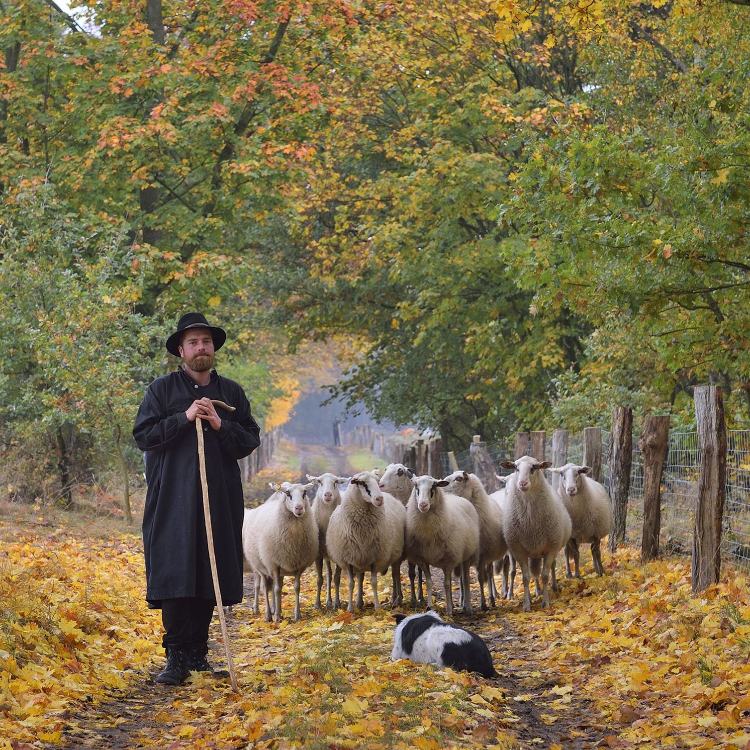 Ein Schäfer in traditioneller Kleidung steht vor einer Herde Schafe in herbstlicher Szene